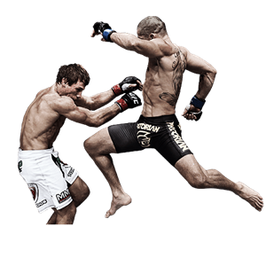 Mixed martial arts PNG, MMA PNG-70395